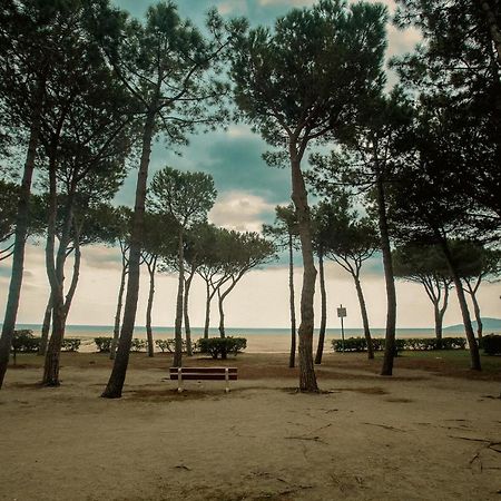 Appartement T2 Les Pieds Dans L'Eau A 아르젤레쉬르메르 외부 사진